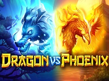 Dragon VS Phoenix